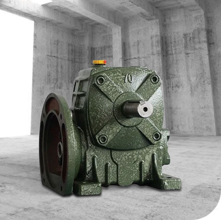 WP worm gear reducer